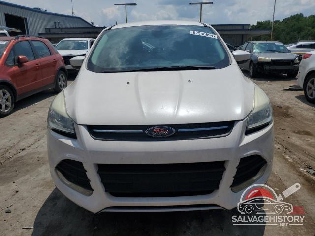 1FMCU0GX6DUD09048 2013 FORD ESCAPE photo no. 5