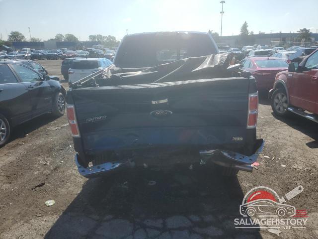 1FTFW1EVXAFC22658 2010 FORD F-150 photo no. 6