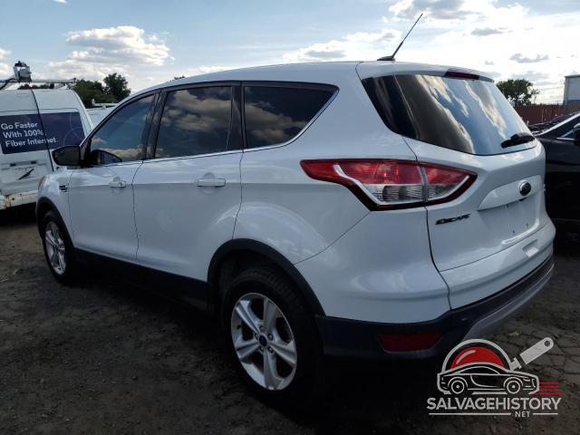 1FMCU9GXXEUC98934 2014 FORD ESCAPE photo no. 2
