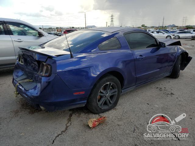 1ZVBP8AM7E5275344 2014 FORD ALL Models photo no. 3