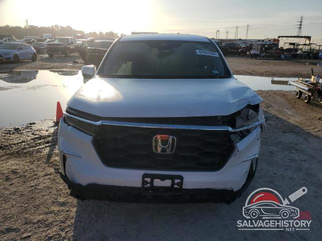 5FNYG2H41PB008086 2023 HONDA PILOT photo no. 5