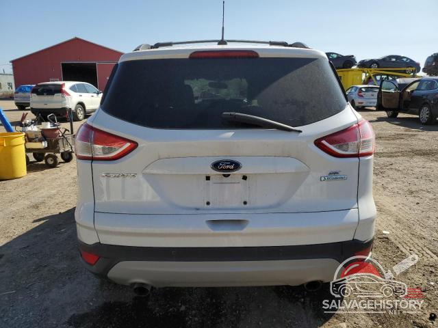 1FMCU0GX0EUC11490 2014 FORD ESCAPE photo no. 6