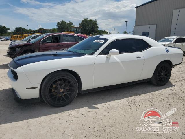 2C3CDYAG5DH719035 2013 DODGE CHALLENGER photo no. 10