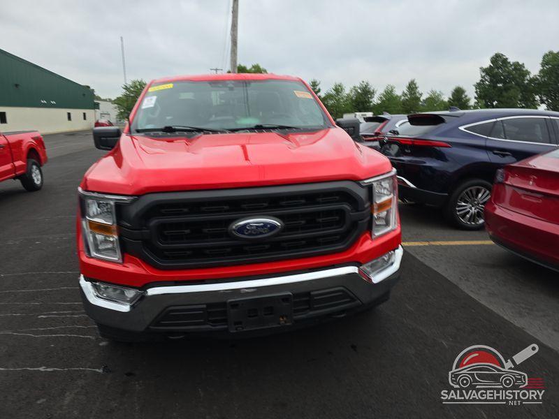 1FTMF1EB2MKE70136 2021 FORD F-150 photo no. 8