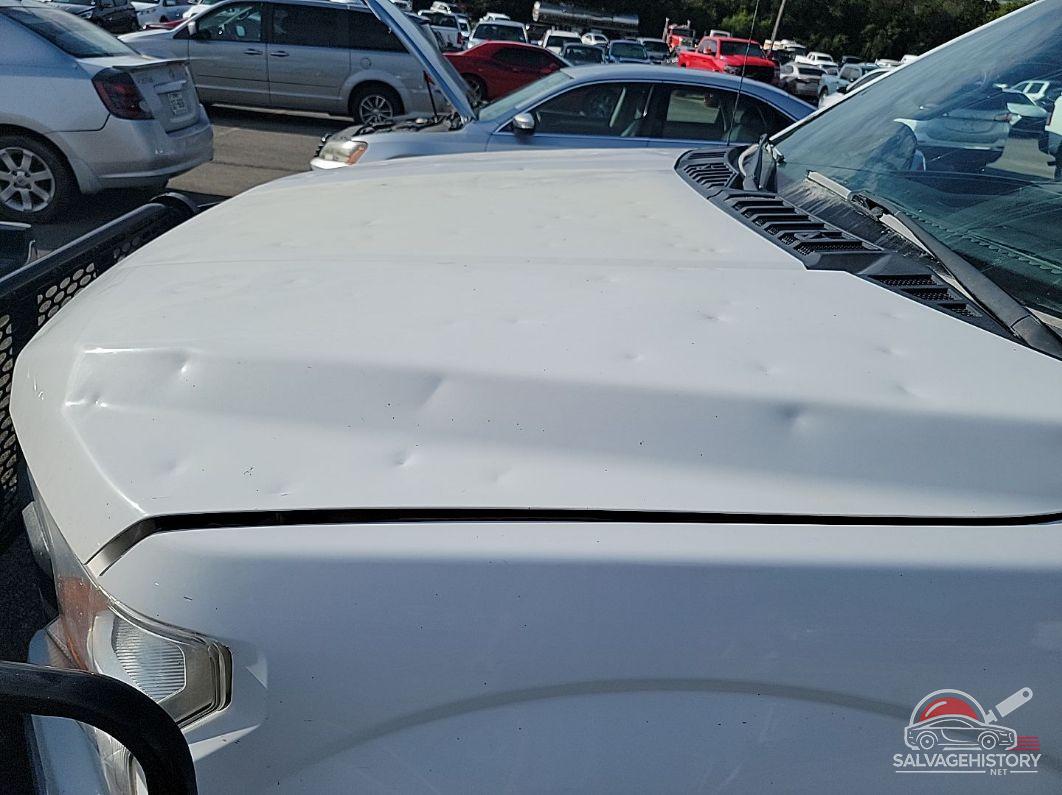1FTEW1E59JKF17124 2018 FORD F150 photo no. 10