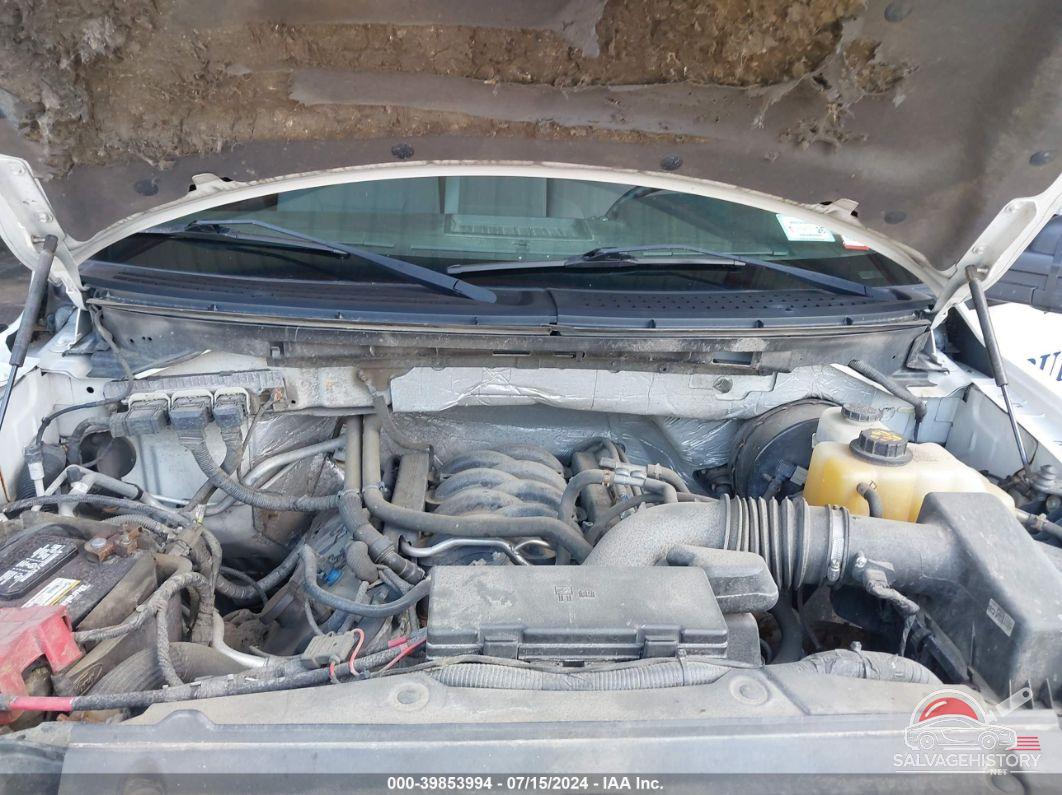 1FTNF1CFXDKF22817 2013 FORD F-150 photo no. 10