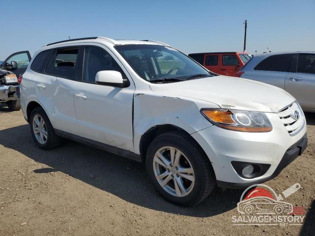 5NMSGDAG8AH406973 2010 HYUNDAI SANTA FE photo no. 4
