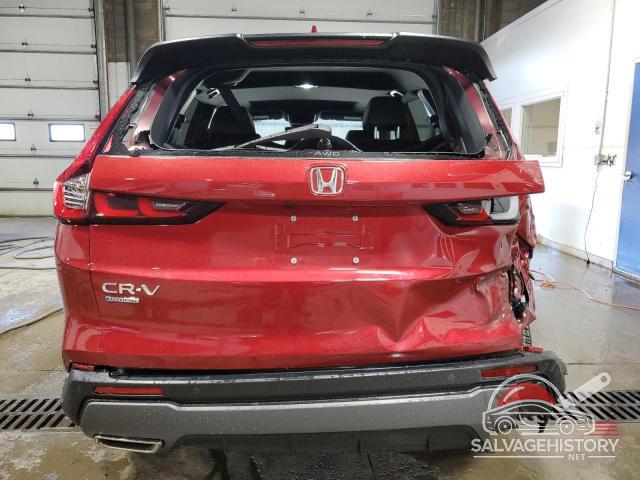5J6RS6H80RL003923 2024 HONDA CRV photo no. 6