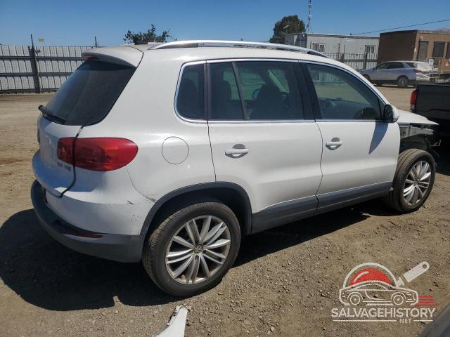 WVGAV3AX5DW083782 2013 VOLKSWAGEN TIGUAN photo no. 3