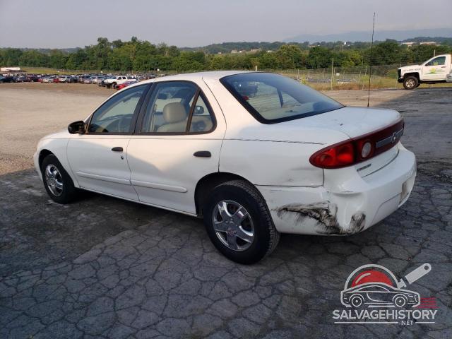 1G1JC52F837247765 2003 CHEVROLET CAVALIER photo no. 2