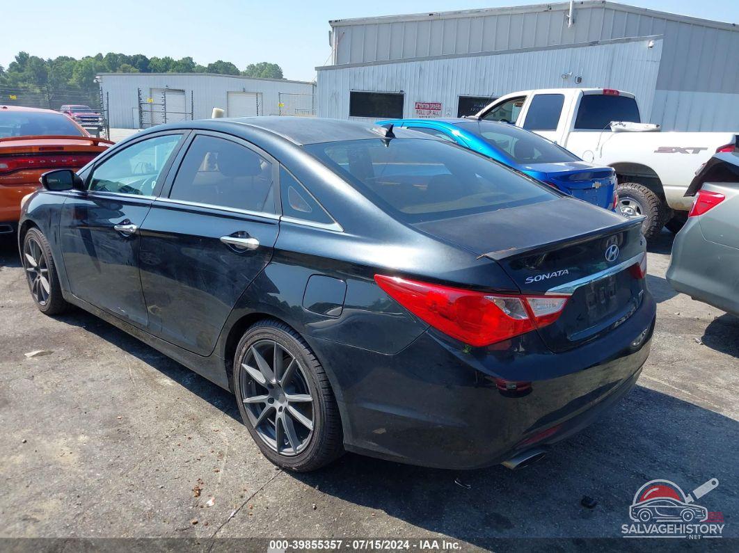 5NPEC4AB1DH515229 2013 HYUNDAI SONATA photo no. 3