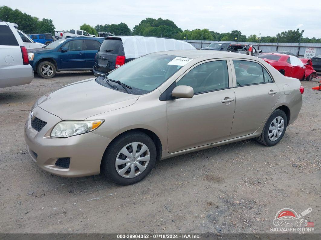 2T1BU4EE6AC356453 2010 TOYOTA COROLLA photo no. 2