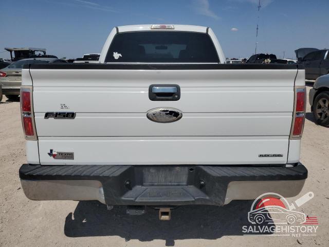 1FTFW1EF3BFD38911 2011 FORD F-150 photo no. 6