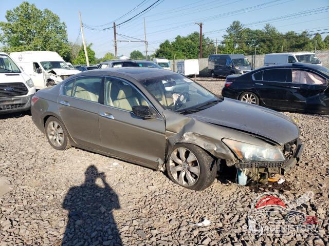 5KBCP3F82AB005891 2010 HONDA ACCORD photo no. 4