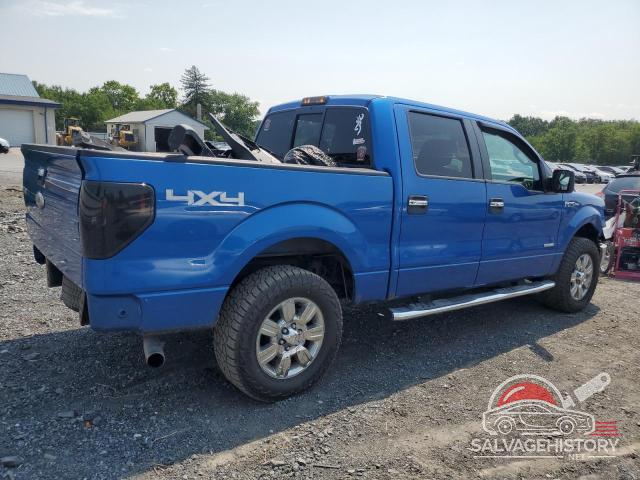1FTFW1ET2BFB00828 2011 FORD F-150 photo no. 3