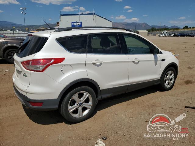 1FMCU0GX8EUC68536 2014 FORD ESCAPE photo no. 3
