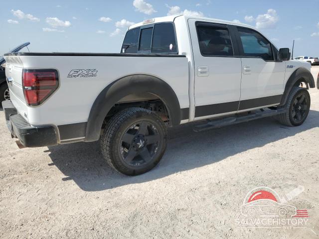 1FTFW1EV6AFA30038 2010 FORD F-150 photo no. 3