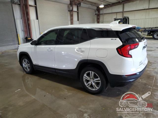 3GKALMEV9LL213273 2020 GMC TERRAIN photo no. 2