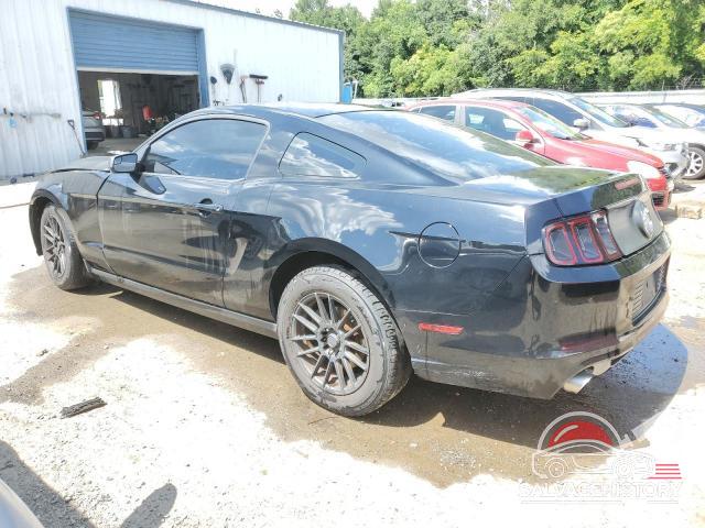 1ZVBP8AM5D5206277 2013 FORD ALL Models photo no. 2