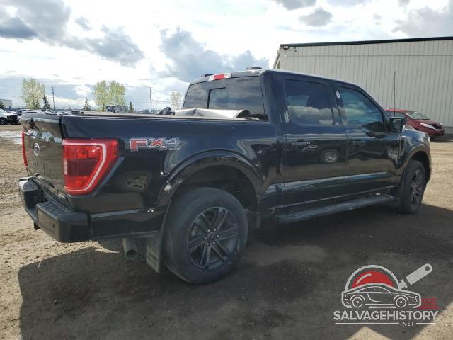 1FTEW1EP8MFB66141 2021 FORD F-150 photo no. 3
