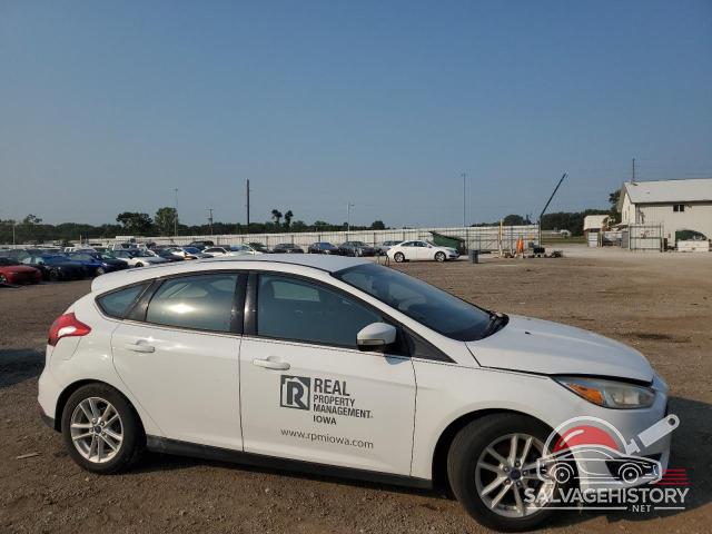 1FADP3K2XGL247537 2016 FORD FOCUS photo no. 4