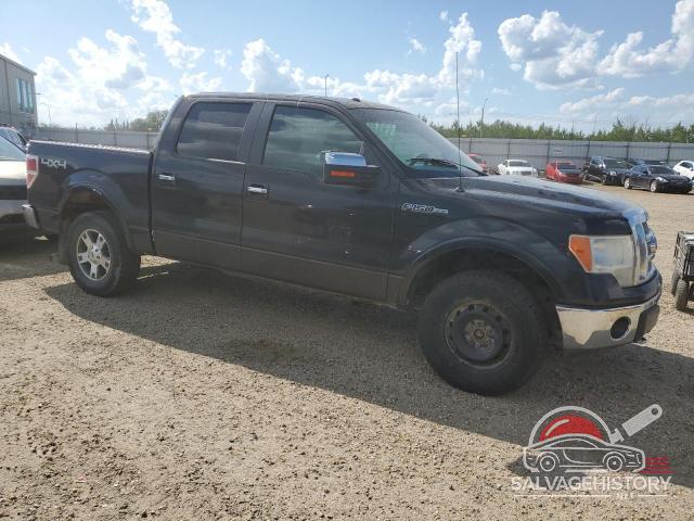 1FTFW1EV3AFC08424 2010 FORD F-150 photo no. 4