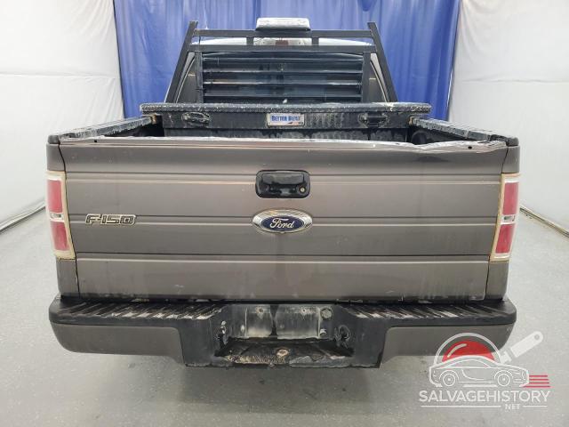 1FTFW1ET7EKD93668 2014 FORD F-150 photo no. 6