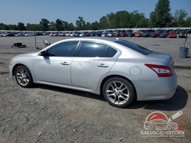 1N4AA5AP8BC805553 2011 NISSAN MAXIMA photo no. 2