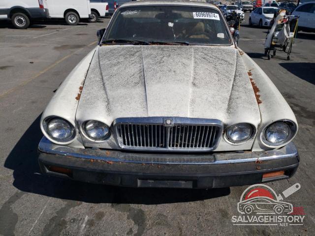 SAJAV134XGC454583 1986 JAGUAR XJ6 photo no. 5