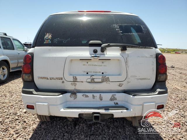 1GNDS13S772291973 2007 CHEVROLET TRAILBLZR photo no. 6