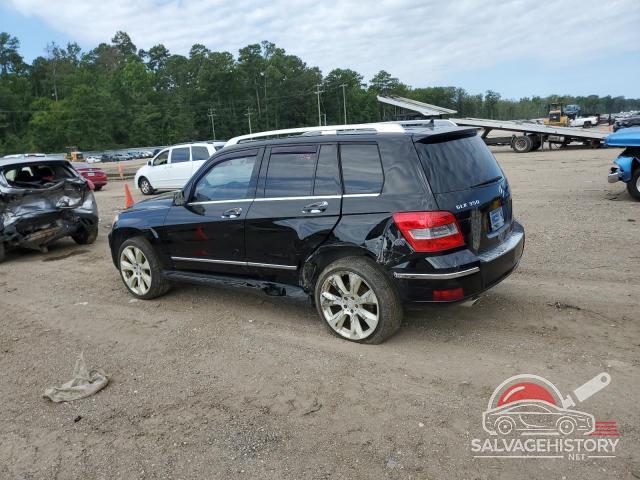 WDCGG5GBXAF414183 2010 MERCEDES-BENZ GLK-CLASS photo no. 2
