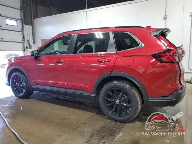 5J6RS6H80RL003923 2024 HONDA CRV photo no. 2