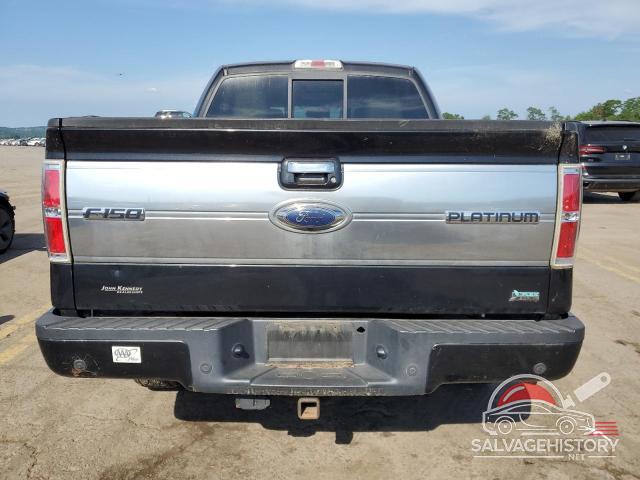 1FTFW1EV1AFC20720 2010 FORD F-150 photo no. 6