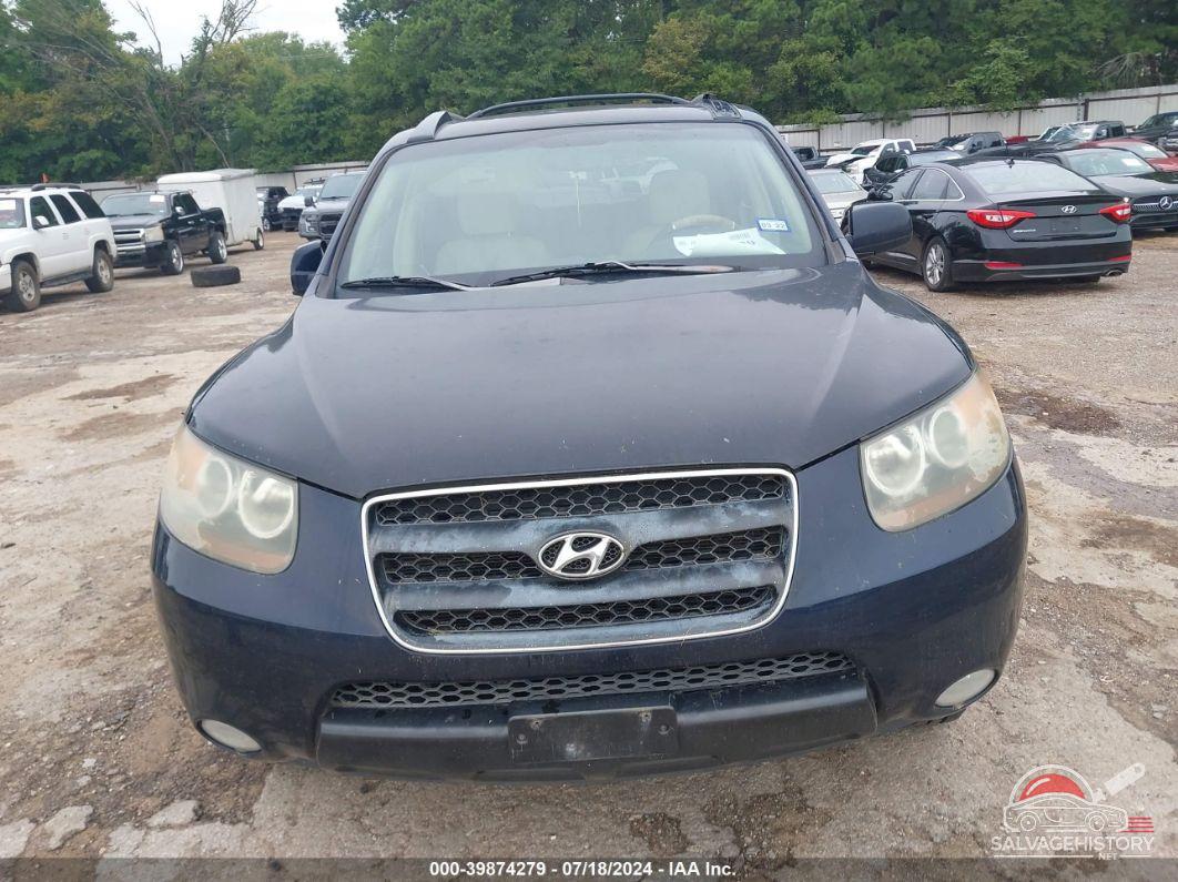 5NMSG13D07H035950 2007 HYUNDAI SANTA FE photo no. 6