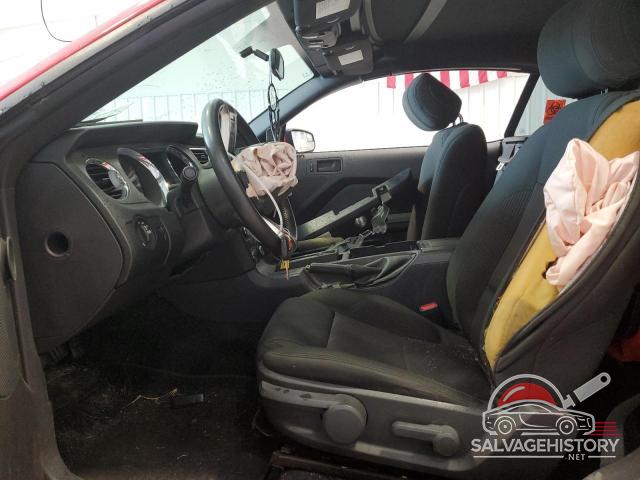1ZVBP8FF1D5272495 2013 FORD MUSTANG photo no. 7