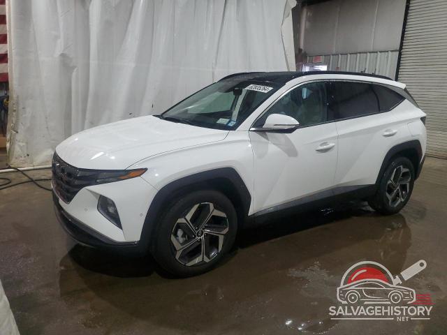 5NMJECDE9RH378344 2024 HYUNDAI TUCSON photo no. 6