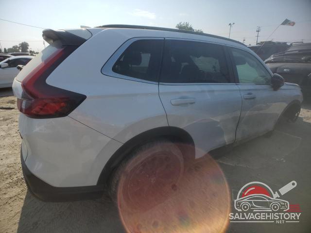 7FARS6H89RE041308 2024 HONDA CRV photo no. 3