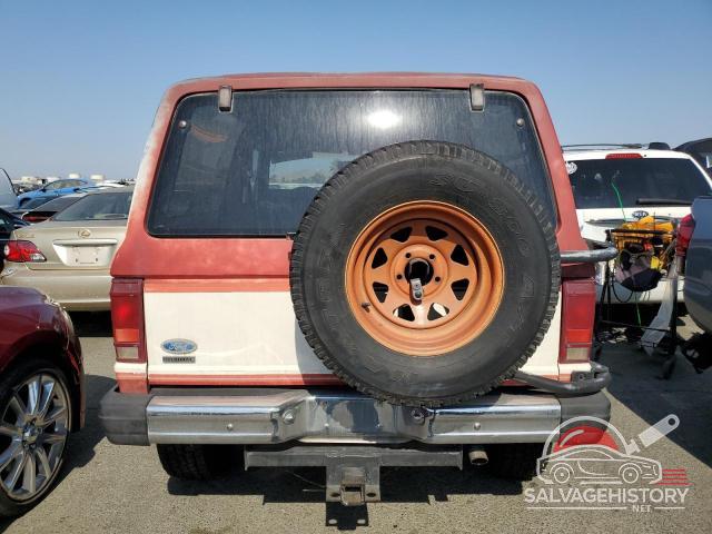 1FMCU14S4FUD40784 1985 FORD BRONCO photo no. 6