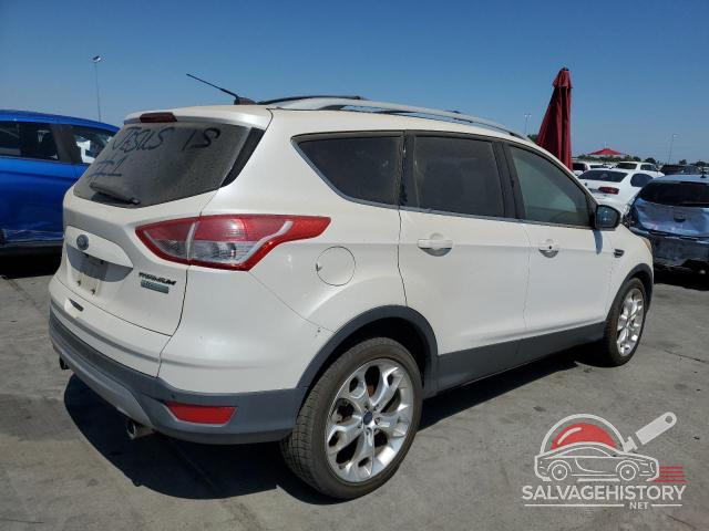 1FMCU0J91DUB23704 2013 FORD ESCAPE photo no. 3
