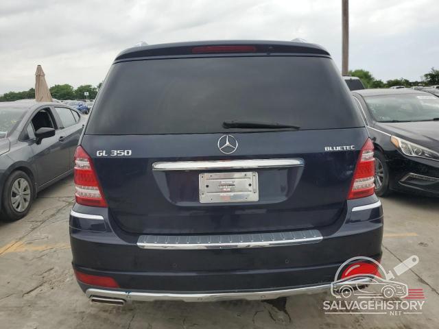 4JGBF2FE9AA589207 2010 MERCEDES-BENZ GL-CLASS photo no. 6