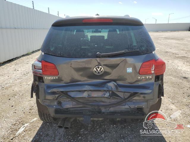WVGJV7AX6GW027233 2016 VOLKSWAGEN TIGUAN photo no. 6
