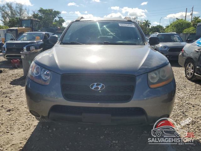 5NMSG13D59H299748 2009 HYUNDAI SANTA FE photo no. 5