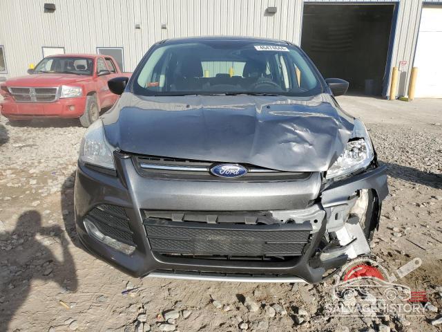 1FMCU0F73EUE48640 2014 FORD ESCAPE photo no. 5