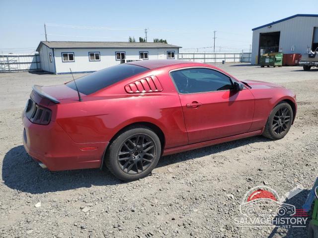 1ZVBP8AM3E5271386 2014 FORD ALL Models photo no. 3
