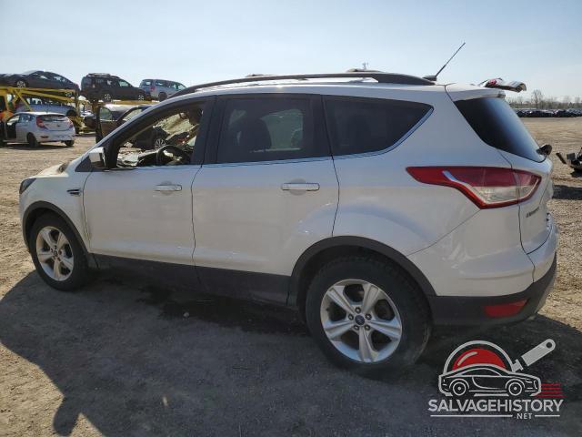 1FMCU0GX0EUC11490 2014 FORD ESCAPE photo no. 2
