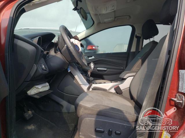 1FMCU0GX0EUE51364 2014 FORD ESCAPE photo no. 7