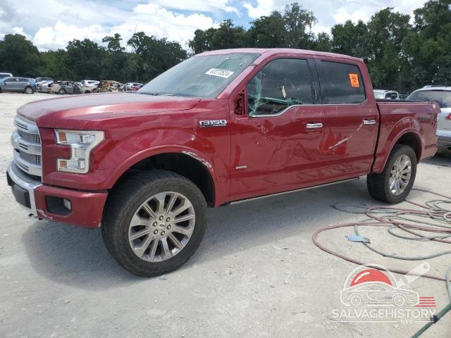 1FTEW1C87FFC86589 2015 FORD F-150 photo no. 13
