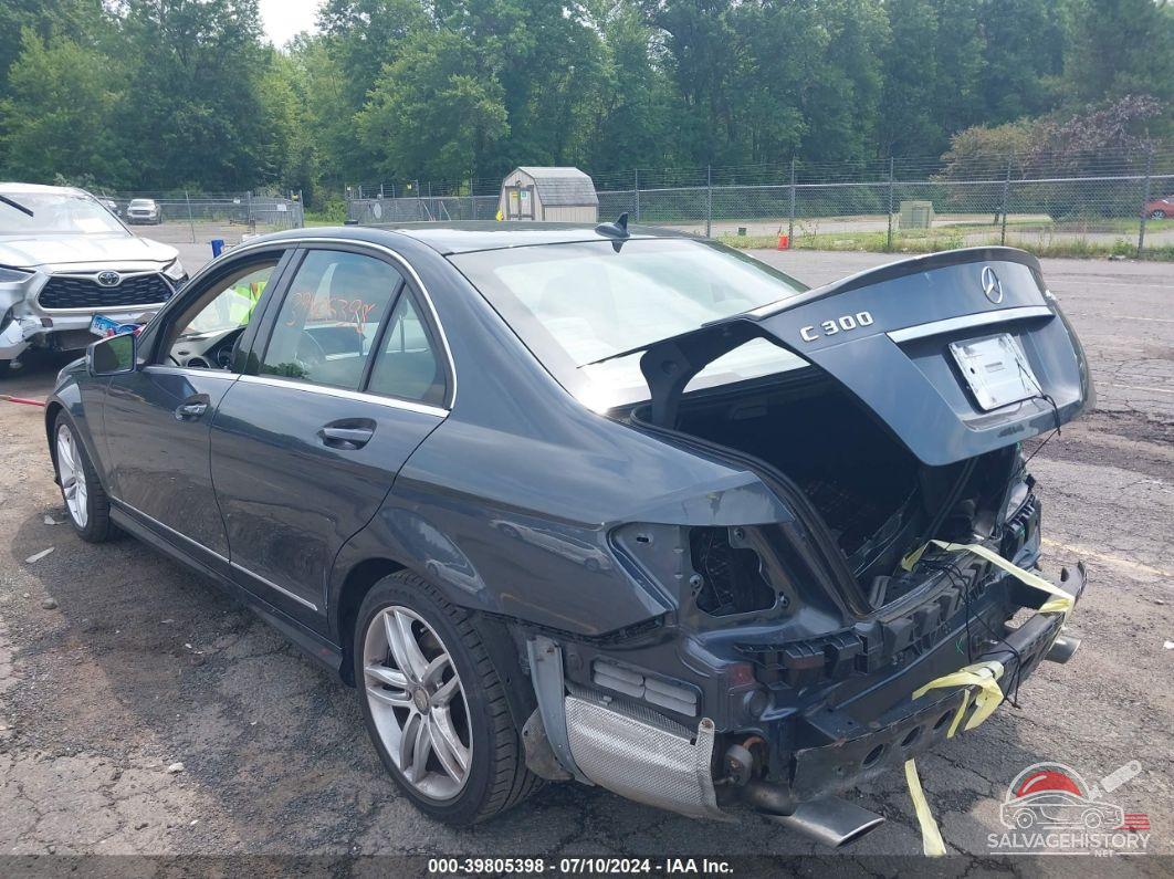 WDDGF8AB7EA933266 2014 MERCEDES-BENZ C 300 photo no. 3