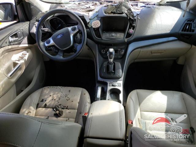 1FMCU0GX0EUC11490 2014 FORD ESCAPE photo no. 8