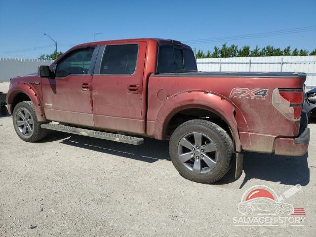 1FTFW1ET1EKD08355 2014 FORD F-150 photo no. 2